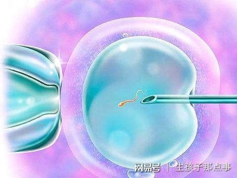 上海喜临门代孕