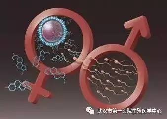 上海借卵试管代怀
