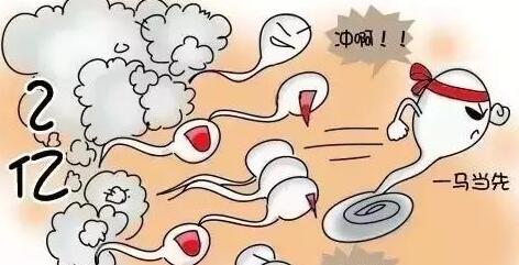 上海添一代