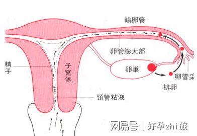上海第一人民医院