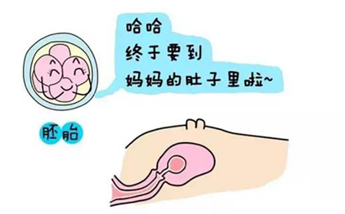 上海世纪代怀孕收费