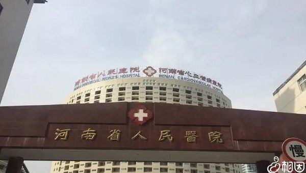 上海代孕包男孩公司