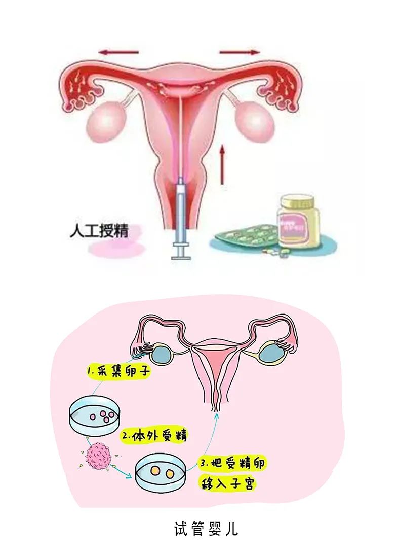 上海世纪代怀孕收费