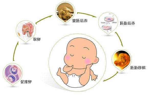 上海试管婴儿医院