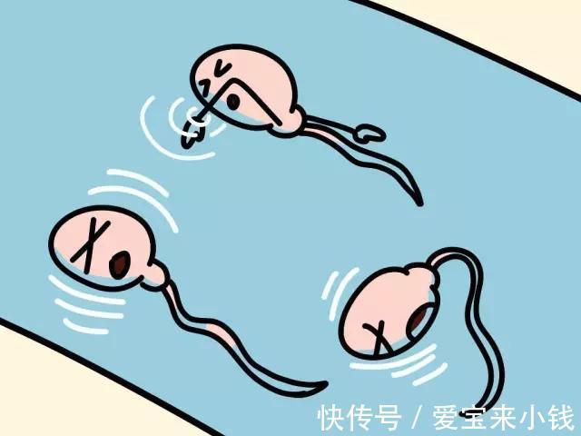 三明助孕