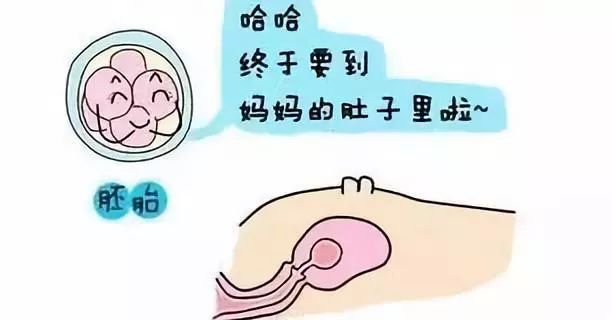 上海不孕不育