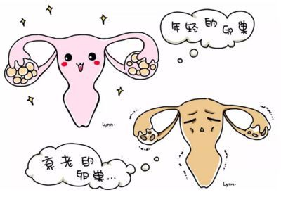 三明助孕