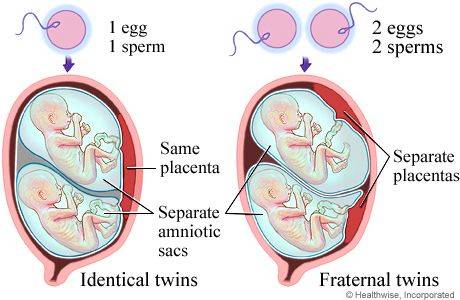 上海代怀孕价钱