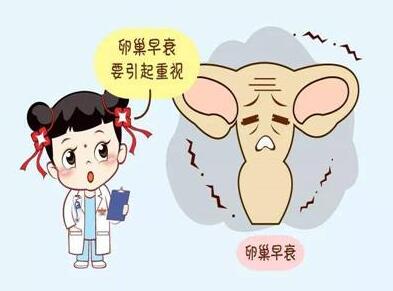 上海第三代