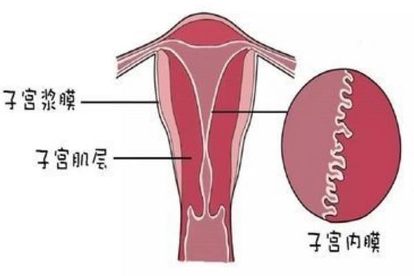 上海代怀孕福利