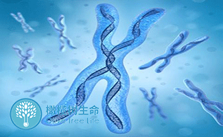 上海东南亚第三方助孕